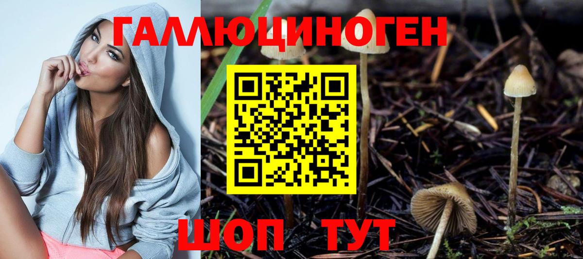 Галлюциногенные грибы мицелий Орск